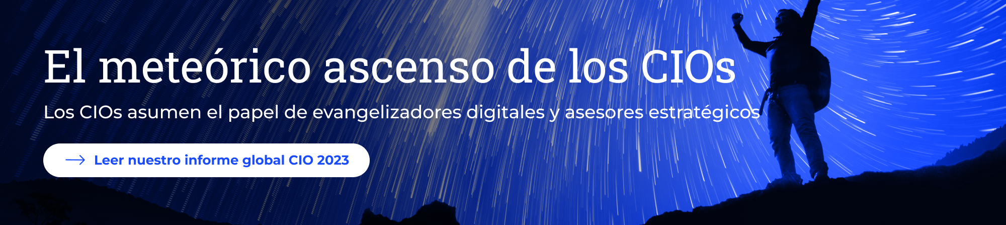 CIO Report